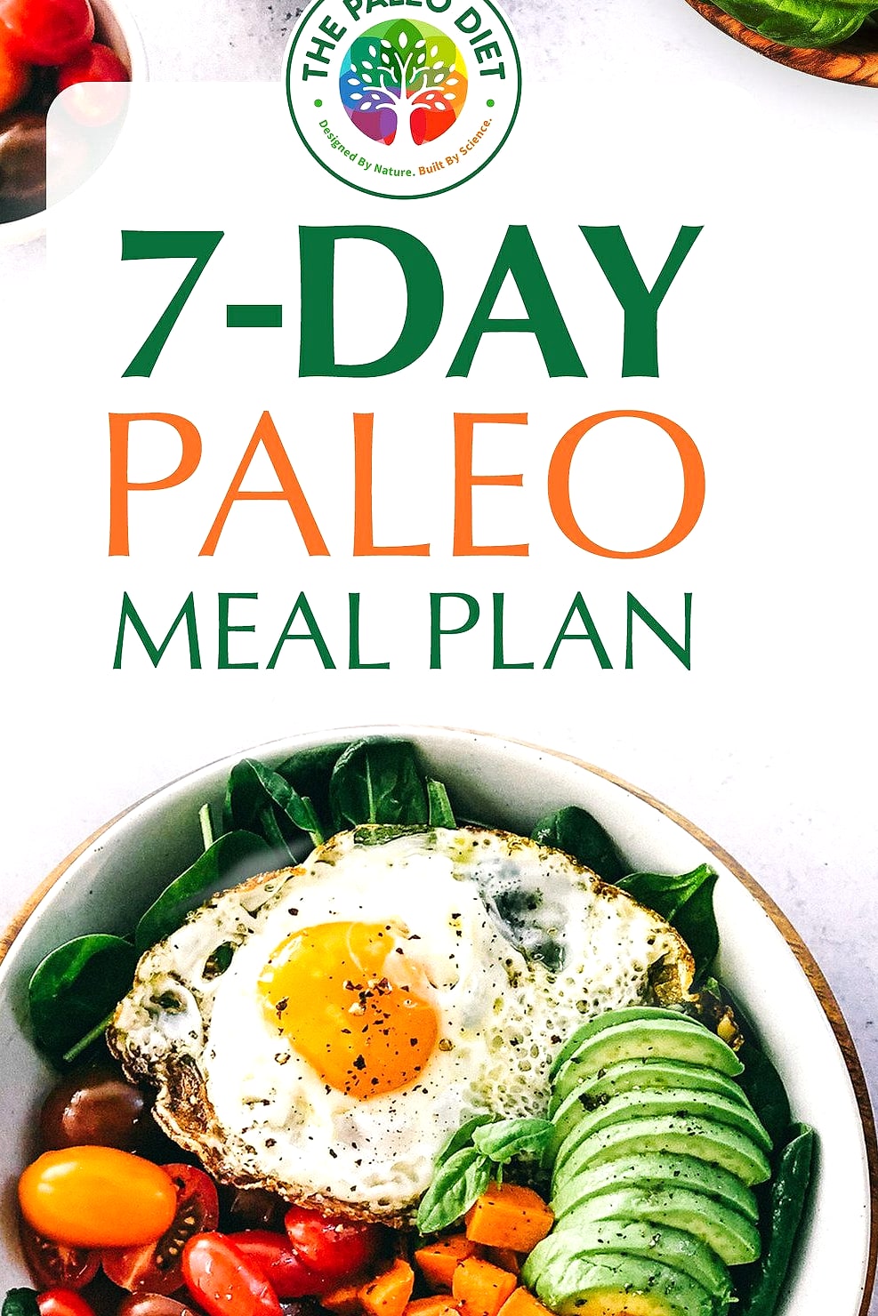 7-Day Paleo Diet Plan (Wholesome, Whole-Food Meals That Satisfy) 3 Day 3