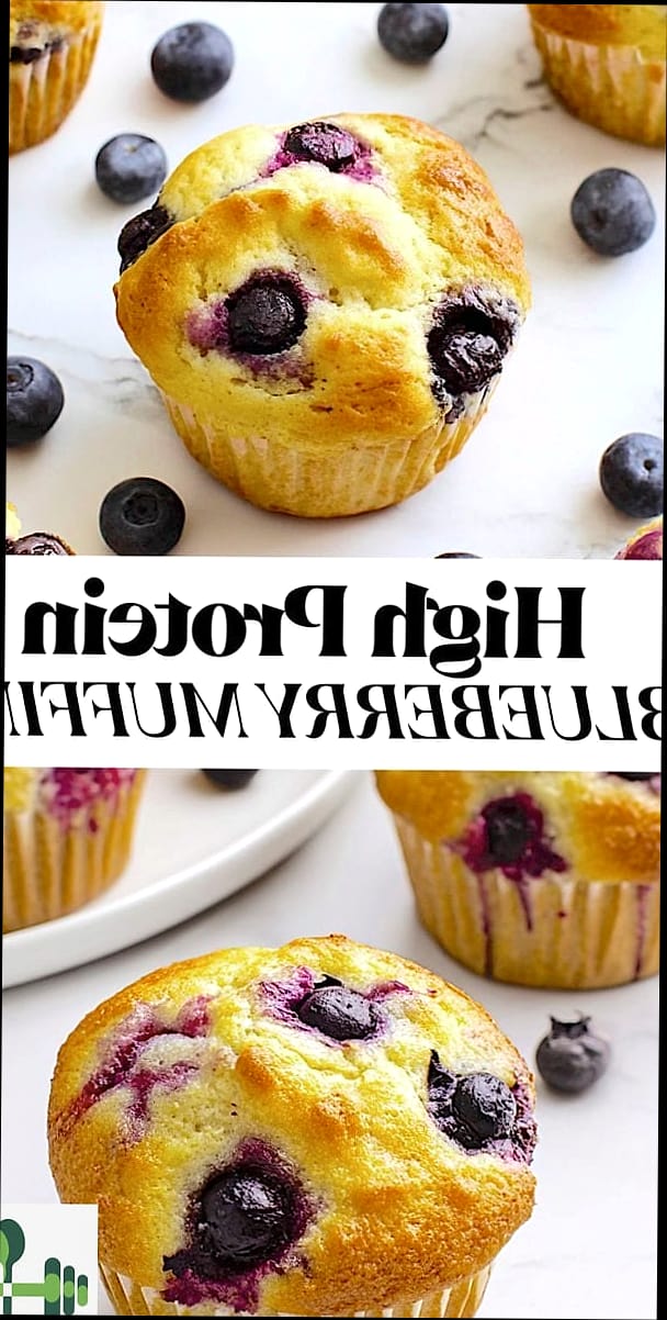 High Protein Protein Muffins